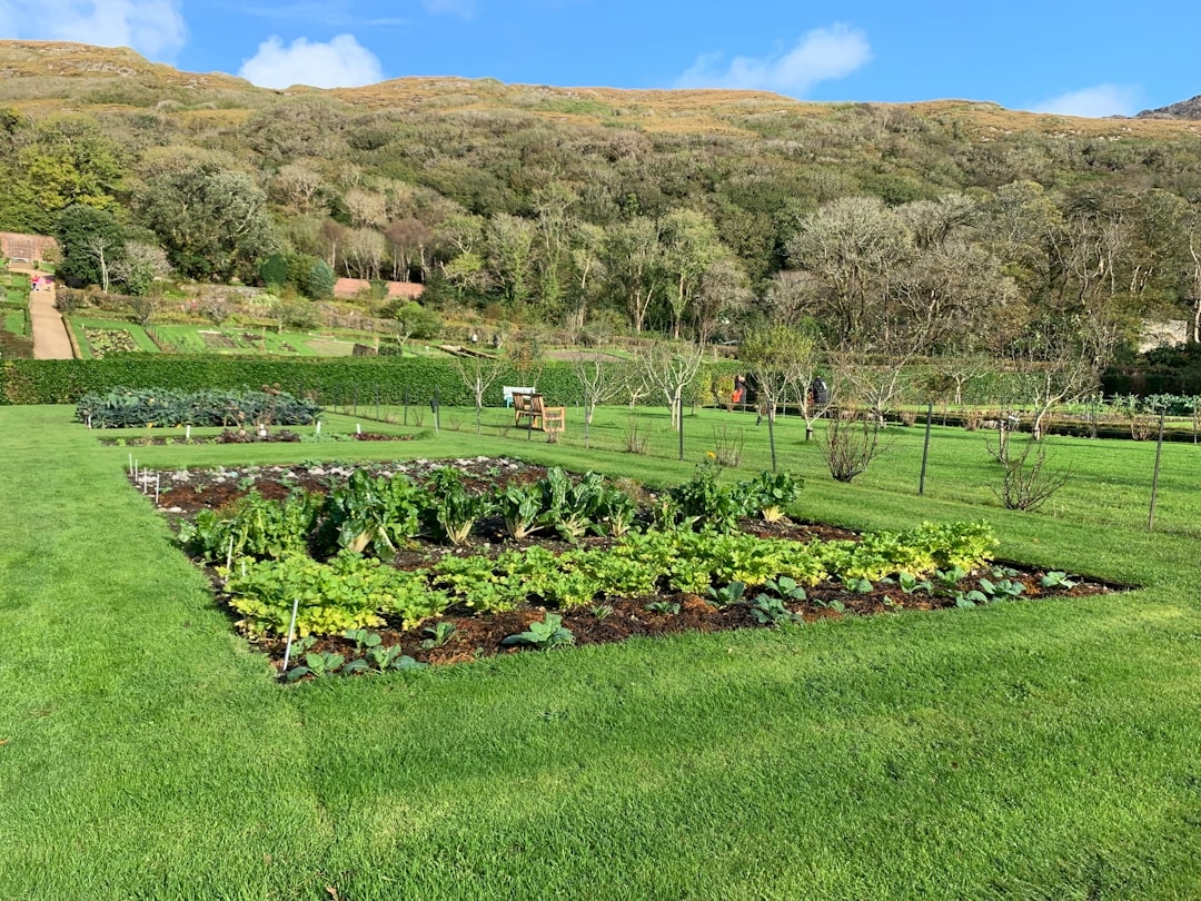 Companion planting for cutting gardens