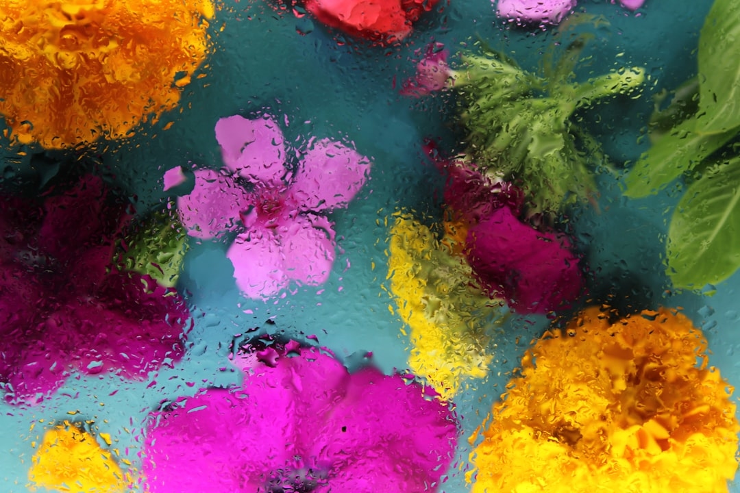 Why cold water shocks tropical flowers
