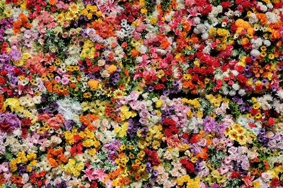 Scentless varieties of normally fragrant flowers