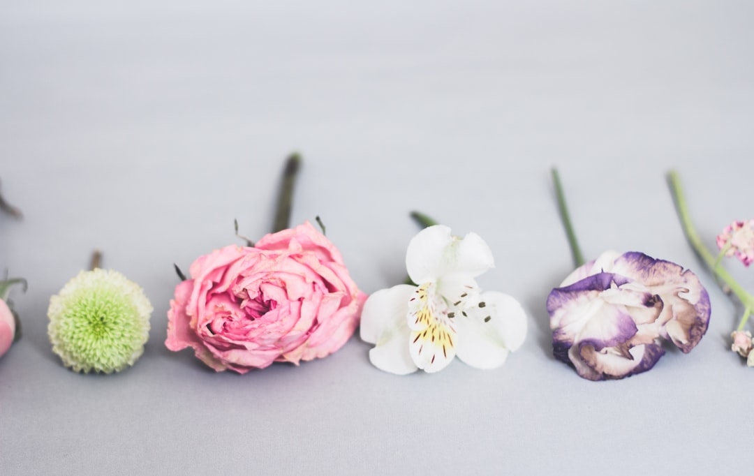 Complete guide to event-day timing for blooms